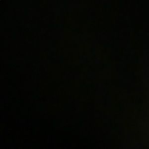 Meet your Posher, Lily